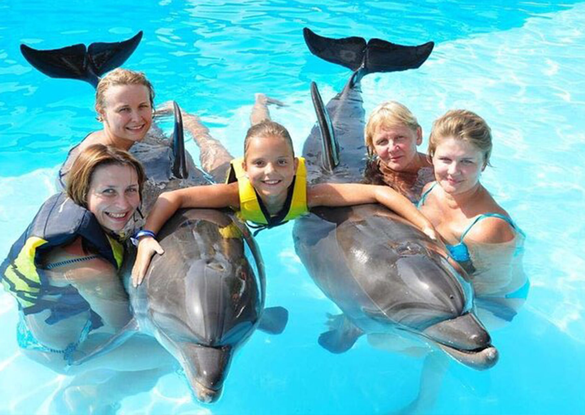 Spectacol cu delfini